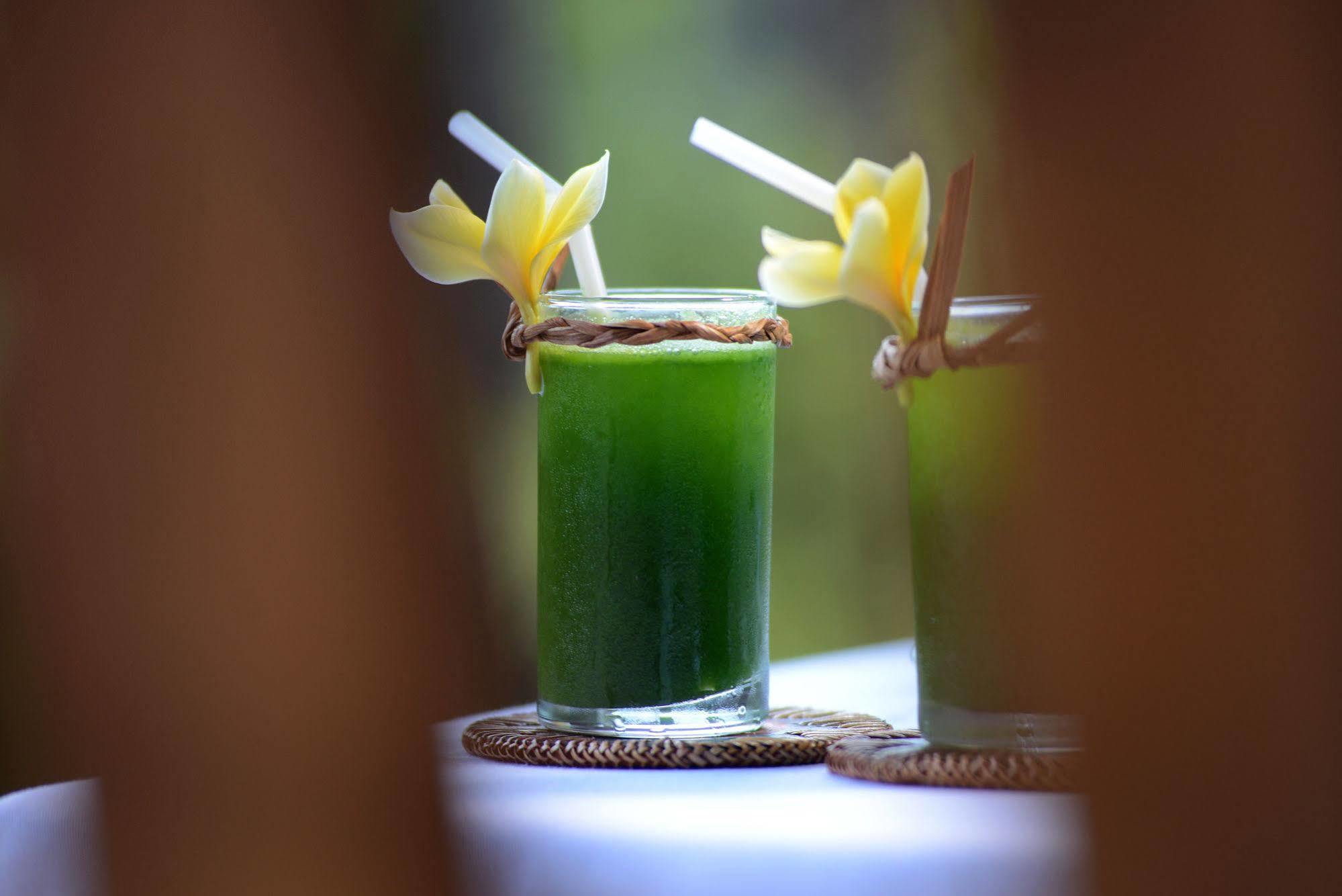 Alam Bidadari Seminyak Villa Kültér fotó